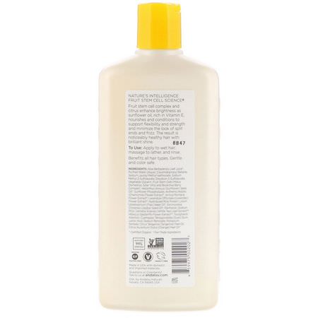 洗髮, 護髮: Andalou Naturals, Shampoo, Brilliant Shine, For Strength and Vitality, Sunflower & Citrus, 11.5 fl oz (340 ml)