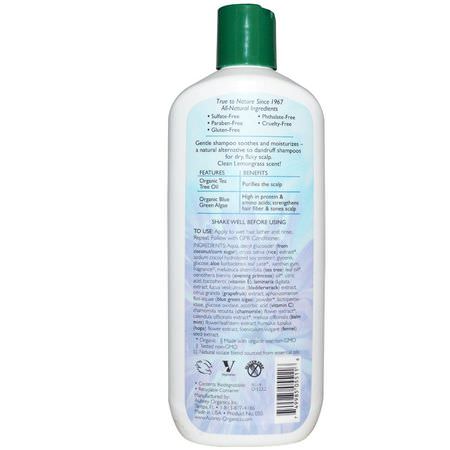 頭皮護理, 頭髮: Aubrey Organics, Scalp Rescue Shampoo, Tea Tree & Primrose, 11 fl oz (325 ml)