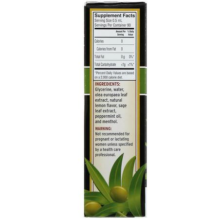 兒童感冒, 兒童健康: Barlean's, Olive Leaf Complex, Throat Spray, Peppermint Flavor, 1.5 fl oz (45 ml)