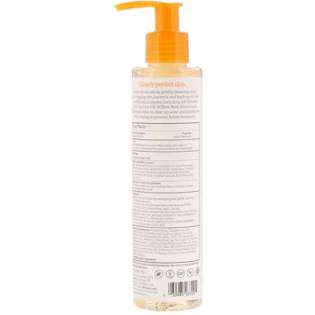 水楊酸, 清潔劑: Derma E, Acne Deep Pore Cleansing Wash, 6 fl oz (175 ml)