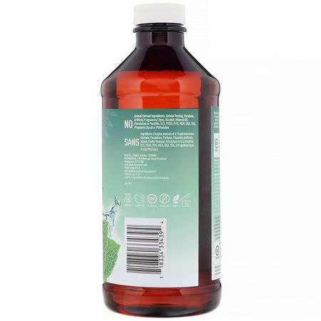 噴霧, 沖洗: Desert Essence, Prebiotic, Plant-Based Brushing Rinse, Mint, 15.8 fl oz (467 ml)