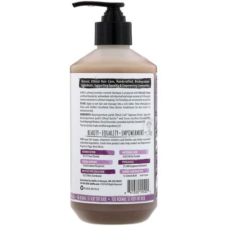 洗髮水, 護髮: Everyday Shea, Shampoo, Lavender, 16 fl oz (475 ml)