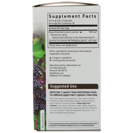 流感, 咳嗽: Gaia Herbs, Black Elderberry, 60 Vegan Capsules