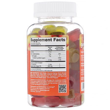 生薑根, 順勢療法: Gummiology, Adult Apple Cider Vinegar Gummies, Natural Apple Flavor, 100 Vegetarian Gummies