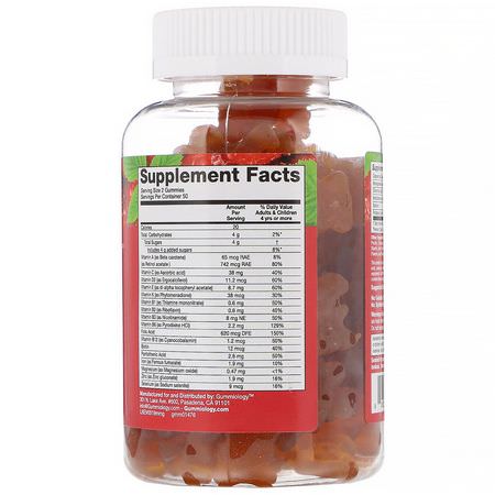 多種維生素, 補品: Gummiology, Adult Mega Multivitamins Gummies, Natural Raspberry Flavor, 100 Vegetarian Gummies