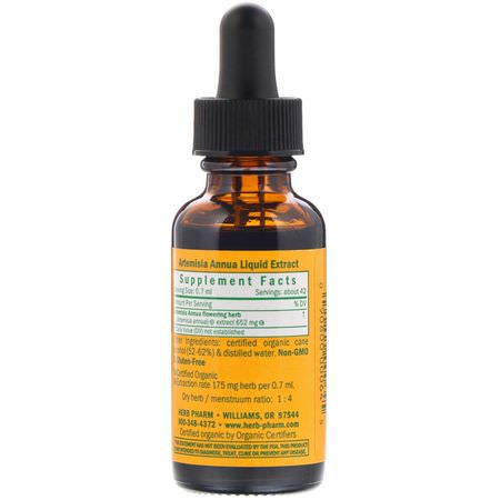艾蒿, 順勢療法: Herb Pharm, Artemisia Annua, 1 fl oz (30 ml)