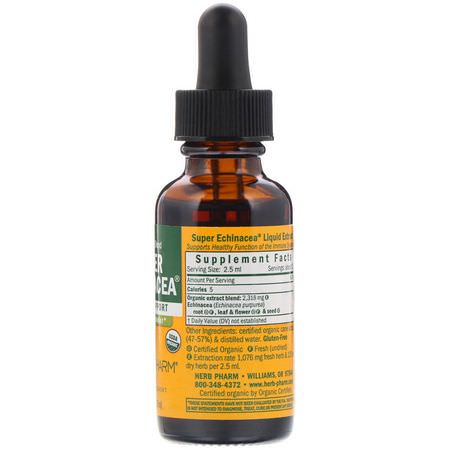 流感, 咳嗽: Herb Pharm, Super Echinacea, 1 fl oz (30 ml)