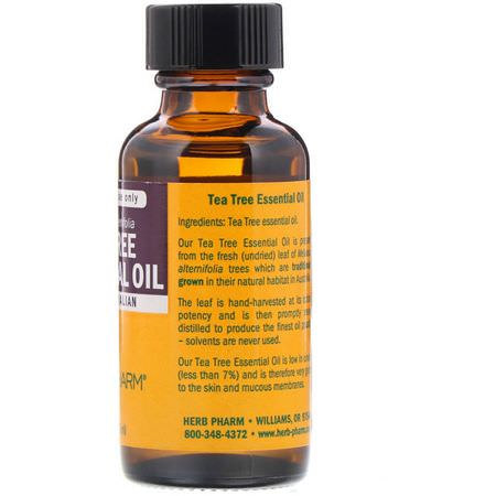 茶樹油外用, 按摩油: Herb Pharm, Tea Tree Essential Oil, 1 fl oz (30 ml)