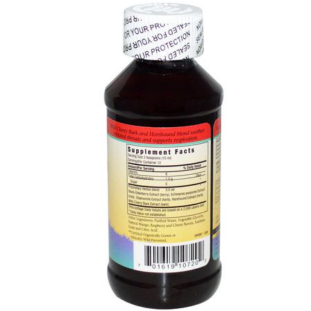 兒童草藥, 順勢療法: Herbs for Kids, Sugar Free Elderberry Syrup, Cherry-Berry Flavor, 4 fl oz (120 ml)