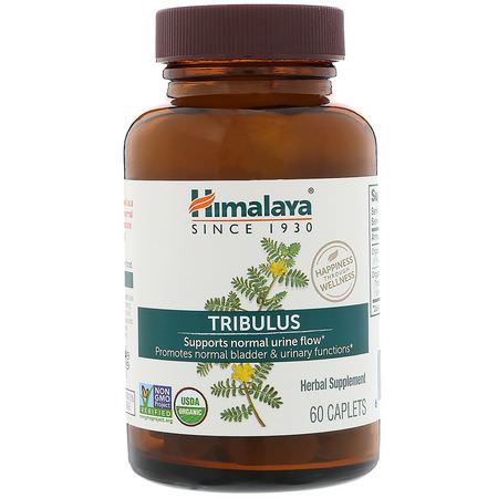 Himalaya Tribulus - Tri藜, 順勢療法, 草藥