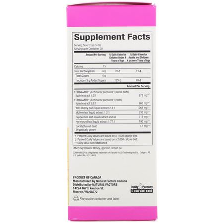 紫錐菊, 順勢療法: Natural Factors, Echinamide Active Support, Honey Lemon Syrup, 5 fl oz (150 ml)