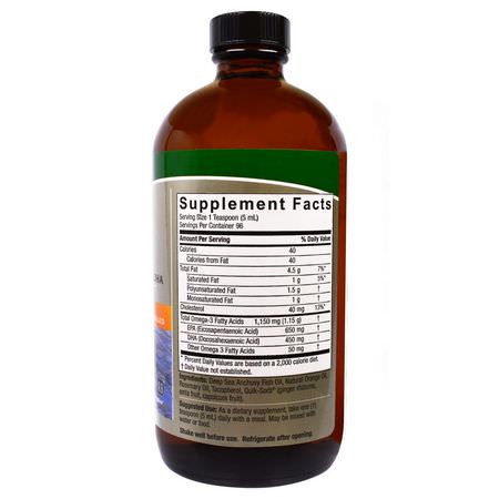 Omega-3魚油, EPA DHA: Nature's Answer, Liquid Omega-3, Deep Sea Fish Oil EPA/DHA, Natural Orange Flavor, 16 fl oz (480 ml)