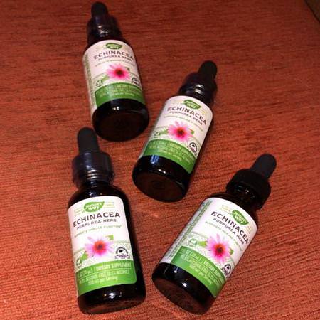 Nature's Way Echinacea Cold Cough Flu
