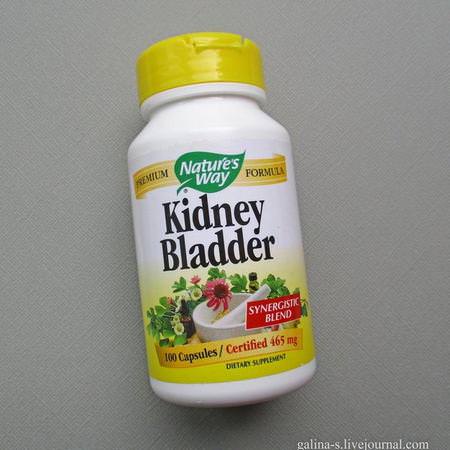 Bladder, Kidney