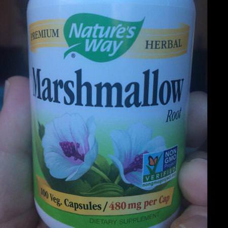 Nature's Way Marshmallow Root - 棉花糖根, 順勢療法, 草藥