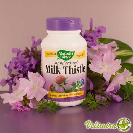 Nature's Way Milk Thistle Silymarin Liver Formulas - 肝臟, 補品, 水飛薊水飛薊素, 順勢療法