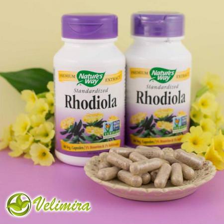 Nature's Way Rhodiola - Rhodiola, 順勢療法, 草藥