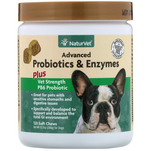 NaturVet, Advanced Probiotics and Enzymes, Plus Vet Strength PB6 Probiotic for Dogs, 120 Soft Chews Review