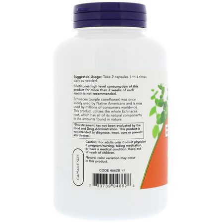 Now Foods Echinacea Cold Cough Flu - 流感, 咳嗽, 感冒, 補品