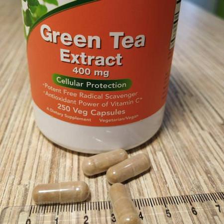 由Gmp認證的工廠生產的綠茶提取物,抗氧化劑,補品,Gmp質量有保證