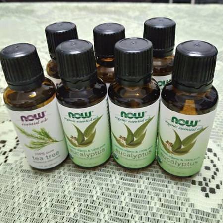 Now Foods Eucalyptus Oil - 桉樹油, 香精油, 香薰, 沐浴