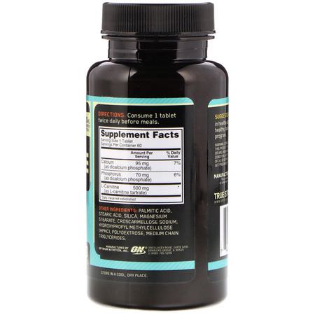 左旋肉鹼, 氨基酸: Optimum Nutrition, L-Carnitine 500 Tabs, 500 mg, 60 Tablets