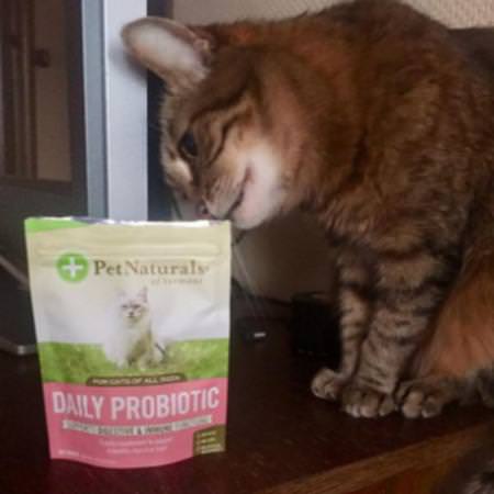 Pet Naturals of Vermont Pet Probiotics - 寵物益生菌, 寵物補品, 寵物