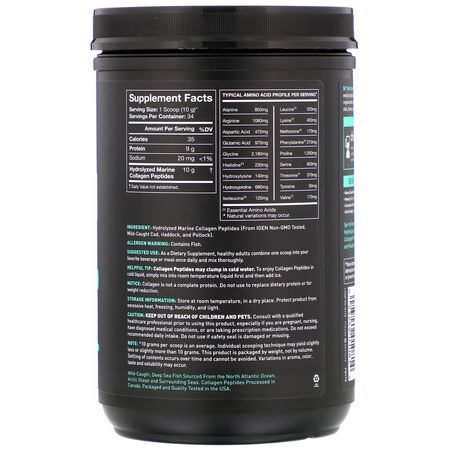 膠原蛋白補品, 關節: Sports Research, Marine Collagen Peptides, Unflavored, 12 oz (340 g)