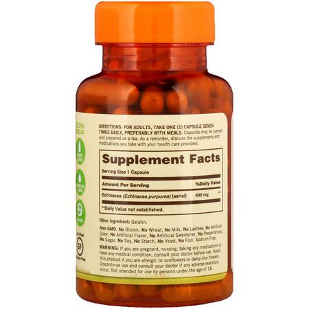 流感, 咳嗽: Sundown Naturals, Whole Herb Echinacea, 400 mg, 100 Capsules