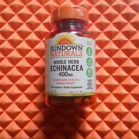 Sundown Naturals Echinacea Cold Cough Flu - 流感, 咳嗽, 感冒, 補品