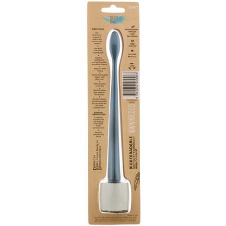 牙刷, 口腔護理: The Natural Family Co, Biodegradable Cornstarch Toothbrush, Monsoon Mist, Soft, 1 Toothbrush & Stand