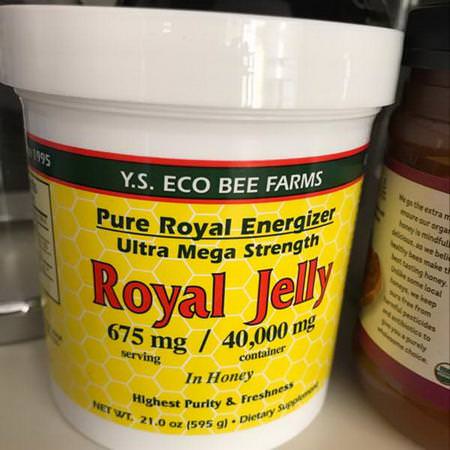 Y.S. Eco Bee Farms, Royal Jelly, in Honey, 675 mg, 1.3 lbs (595 g)